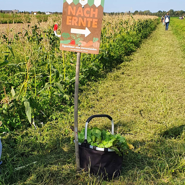 KI generiert: Das Bild zeigt einen Traktor mit Protestschildern, umgeben von einer Menschenmenge. Der Hauptinhalt ist eine Demonstration, die Vielfalt fördert.