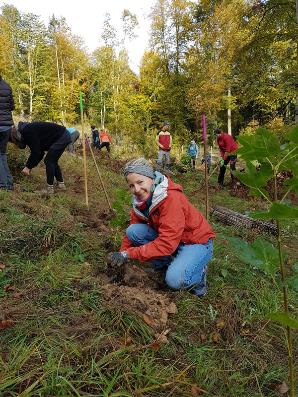 KI generiert: Menschen pflanzen in einem Wald Bäume, eine Person kniet vorne mit einem Setzling.