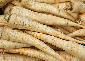 KI generiert: Das Bild zeigt eine Nahaufnahme von frischen Grünkohlblättern. Die krausen, grünen Blätter sind dicht beieinander angeordnet.