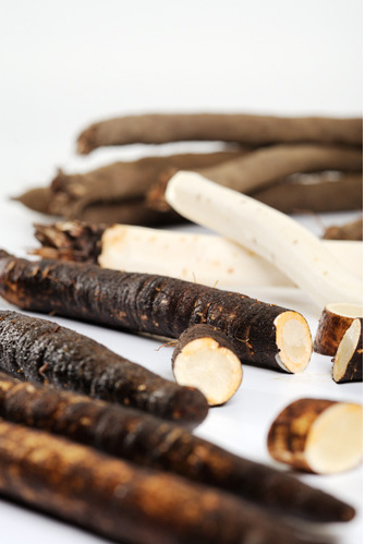 KI generiert: Das Bild zeigt eine Nahaufnahme von frischen Grünkohlblättern. Die krausen, grünen Blätter sind dicht beieinander angeordnet.