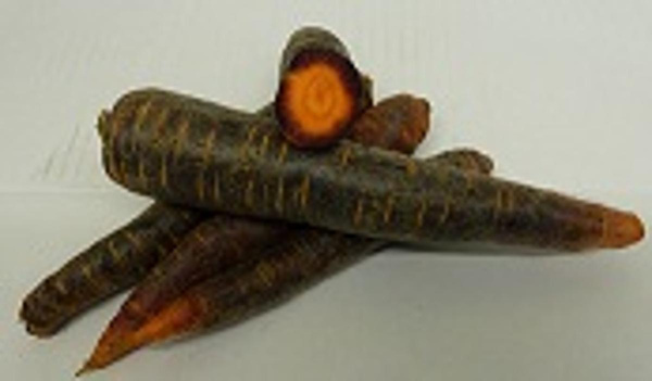 Produktfoto zu Möhren Purple Elite