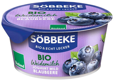 Produktfoto zu Joghurt Pur Blaubeer
