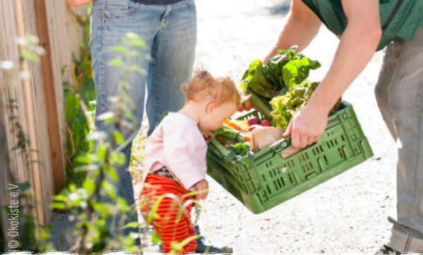 KI generiert: Ein Kind begutachtet eine Kiste voller frischem Gemüse. Text: „© Ökokiste e.V.“