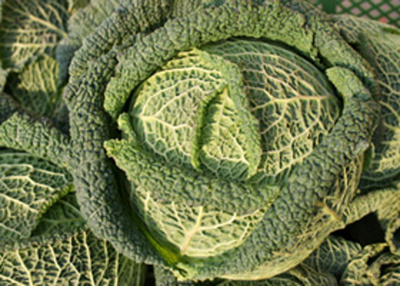 Produktfoto zu Wirsing (Stück), ca. 0,4- 0,7 kg