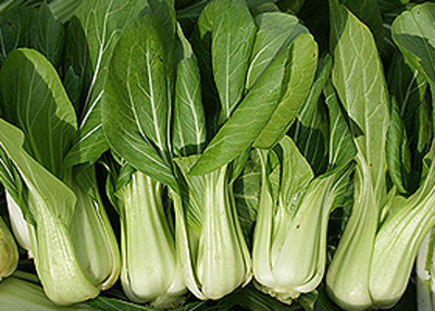 Produktfoto zu Pak-Choi, ca. 250-300 g