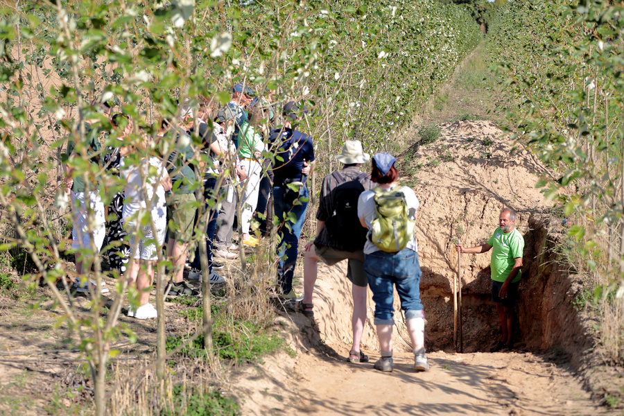 KI generiert: Eine Gruppe von Menschen besichtigt ein Feld mit jungen Bäumen, ein Mann zeigt auf ein Erdloch.