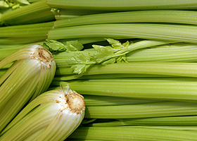 KI generiert: Das Bild zeigt eine Nahaufnahme von frischen Grünkohlblättern. Die krausen, grünen Blätter sind dicht beieinander angeordnet.