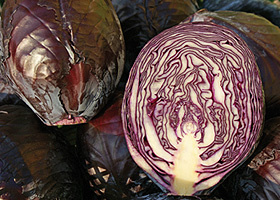 KI generiert: Das Bild zeigt mehrere Köpfe von Rotkohl, darunter einen halbierten, bei dem die inneren Strukturen sichtbar sind. Der Hauptinhalt des Bildes ist frischer Rotkohl.