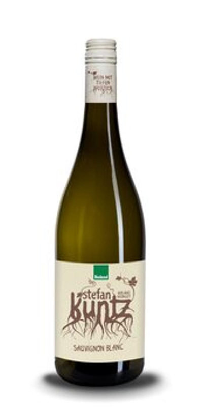 Produktfoto zu Sauvignon blanc