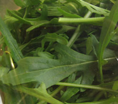 Produktfoto zu Rucola_Rauke eigen