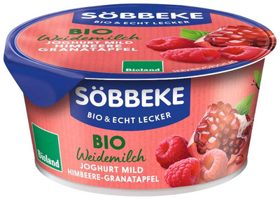 Produktfoto zu Joghurt Pur Himbeer-Grana