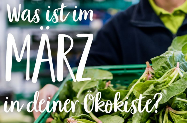 biolandlammertzhof_oekokiste-maerz