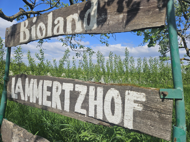 KI generiert: Holzschild mit Aufschrift "Bioland Lammertzhof" vor grüner Wiese und blauem Himmel.