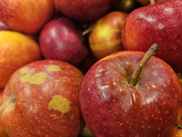 KI generiert: Rote und gelbe Äpfel liegen dicht beieinander.
