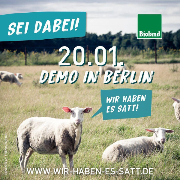 Flyer Demo in Berlin