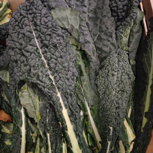 Produktfoto zu Palmkohl (kg)