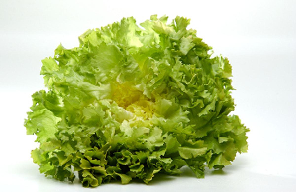 Produktfoto zu Endiviensalat, eigen glatt und kraus