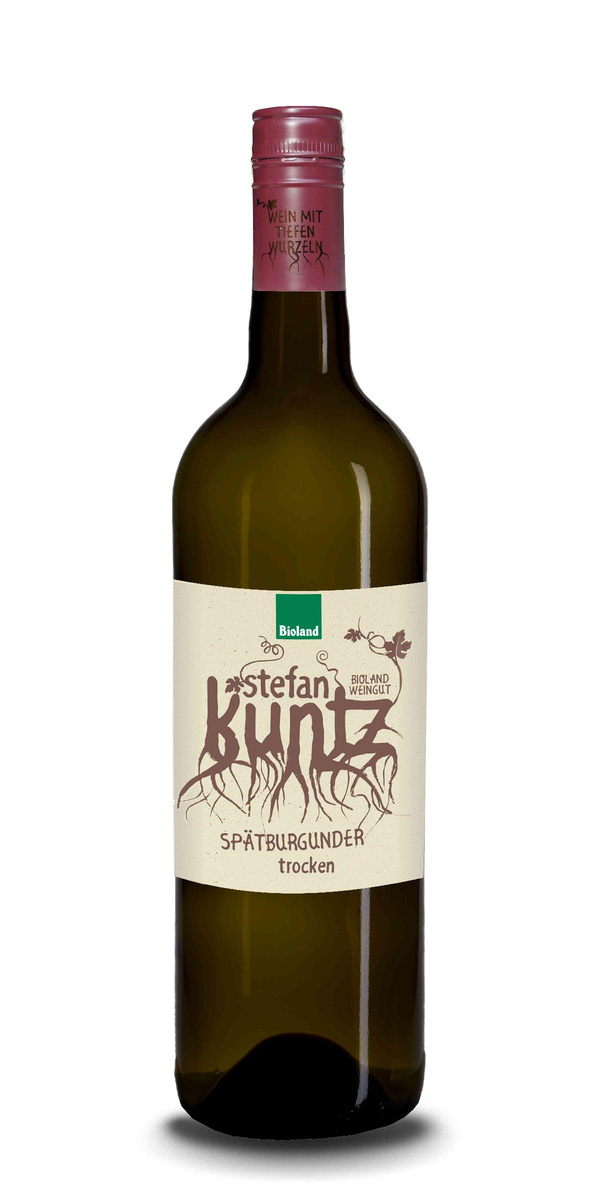 Produktfoto zu Spätburgunder Rotwein QbA