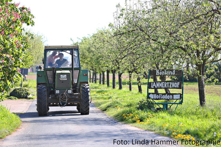 KI generiert: Traktor auf ländlichem Weg, Schild: "Bioland Lammertzhof Hofladen".