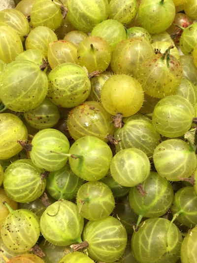 Produktfoto zu Stachelbeeren 250 g