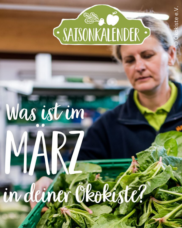 Frau, Salat, Kiste