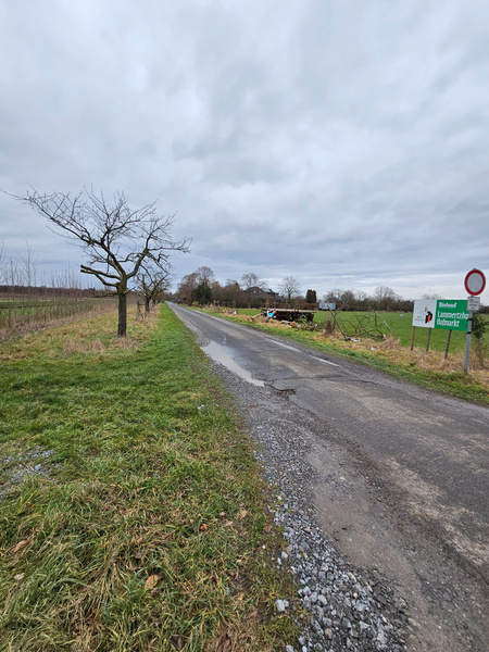 Einfahrt mit kaputten Bäumen