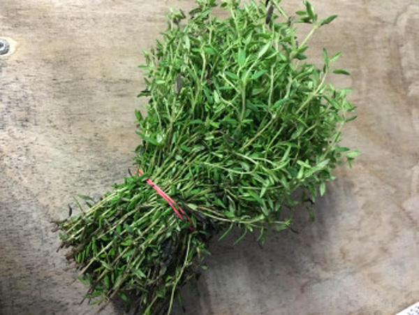 Produktfoto zu Thymian eigen