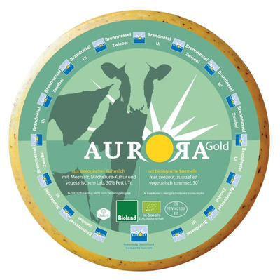 Produktfoto zu Gouda Brennessel  Zwiebel