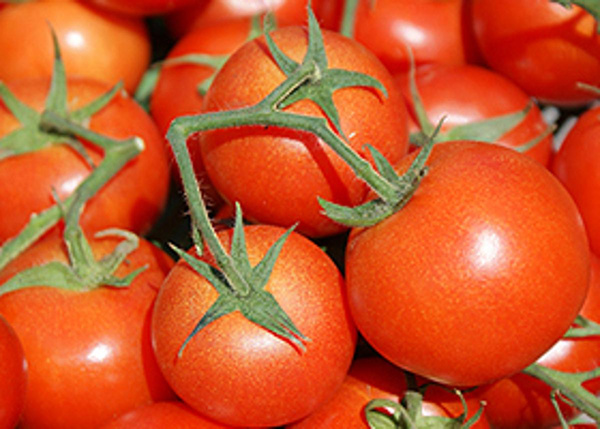 Produktfoto zu Tomaten Ruthje eigen, samenfest, neigt zu Grünkragen, evtl. andere Sorten als Ersatz