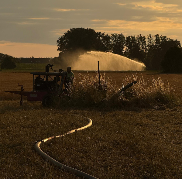 KI generiert: Ein Bewässerungssystem sprüht Wasser auf ein Feld bei Sonnenuntergang.