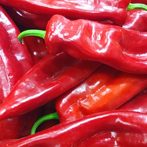 Produktfoto zu Paprika Spitz Ramoro 2. Wahl