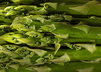 Produktfoto zu Spargel grün