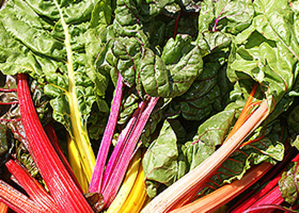 Produktfoto zu Mangold