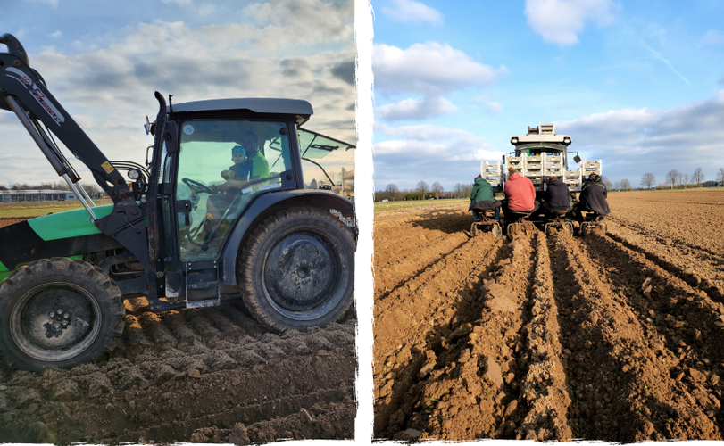 biolandlammertzhof_feldpost-maerz