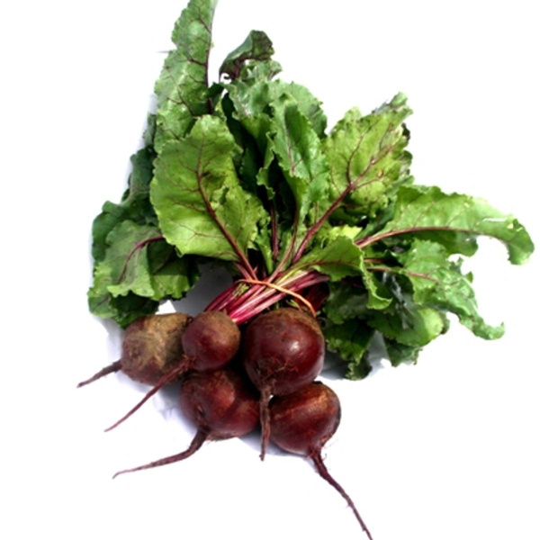 Produktfoto zu Rote Bete Bund