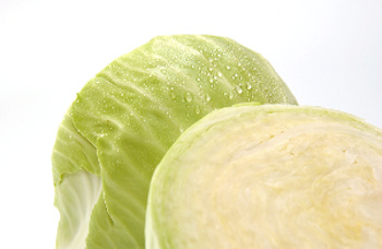 KI generiert: Das Bild zeigt eine Nahaufnahme von frischen Grünkohlblättern. Die krausen, grünen Blätter sind dicht beieinander angeordnet.