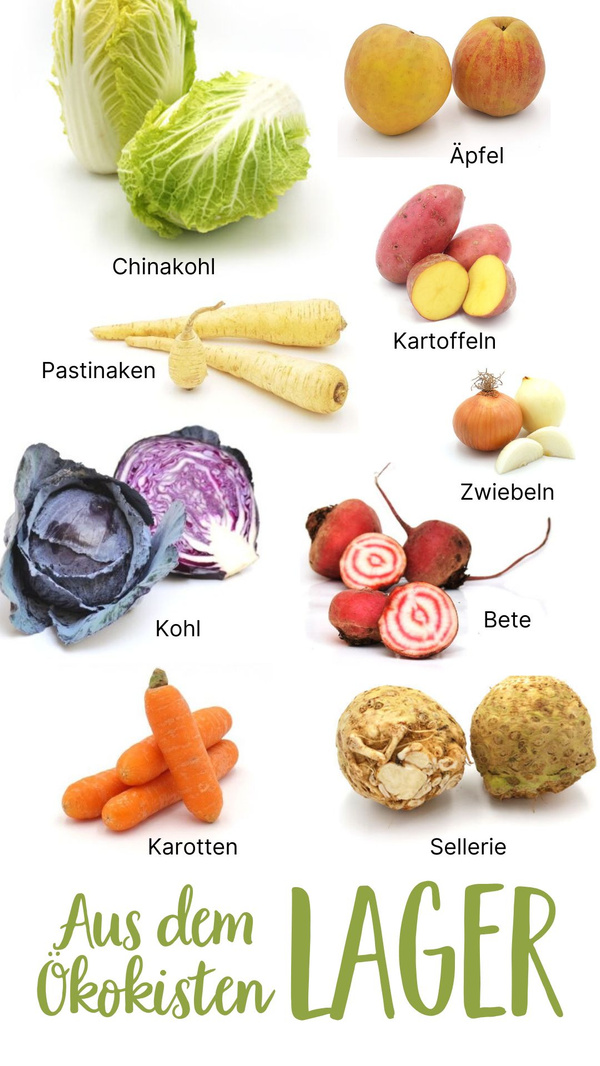 KI generiert: Das Bild zeigt eine Nahaufnahme von frischen Grünkohlblättern. Die krausen, grünen Blätter sind dicht beieinander angeordnet.