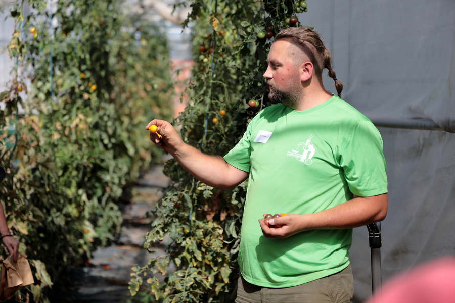 KI generiert: Ein Mann zeigt eine Tomate in einem Gewächshaus voller Pflanzen.