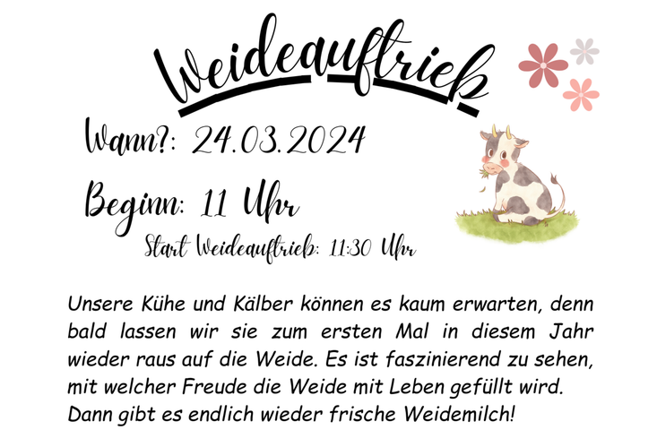 biolandlammertzhof_weidenauftrieb