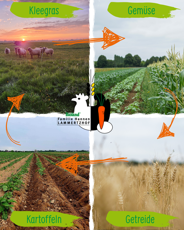 KI generiert: Das Bild zeigt einen Traktor mit Protestschildern, umgeben von einer Menschenmenge. Der Hauptinhalt ist eine Demonstration, die Vielfalt fördert.