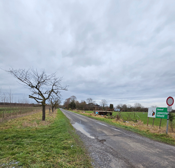 KI generiert: Landstraße mit Bäumen; Schild: "Bioland Lammerthof Hofmarkt".