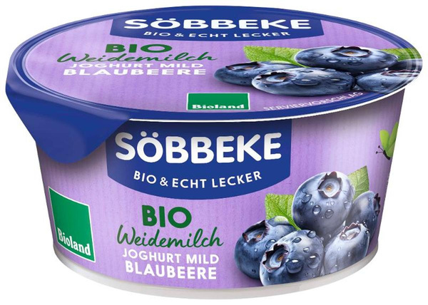 Produktfoto zu Joghurt Pur Blaubeer