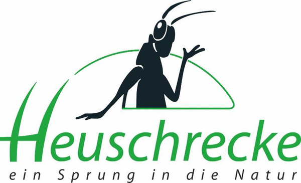 Produktfoto zu Kerbel