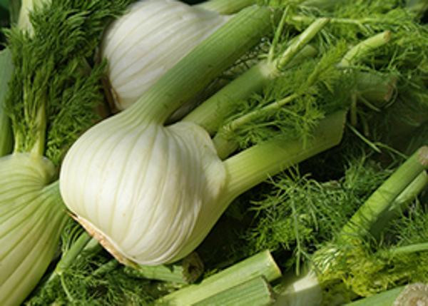 Produktfoto zu Fenchel eigen