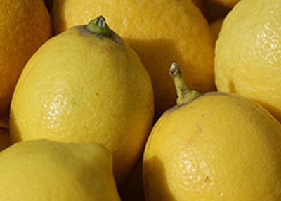 Produktfoto zu Zitronen