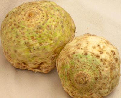 Produktfoto zu Sellerie, gewogen, eigen