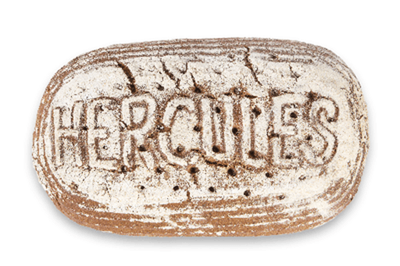 Produktfoto zu Roggenbrot 100% Hercules 1 kg