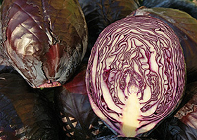 Produktfoto zu Rotkohl ca. 0,6- 1, kg