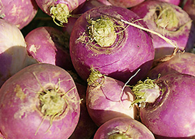 Produktfoto zu Rübchen weiß_ violett