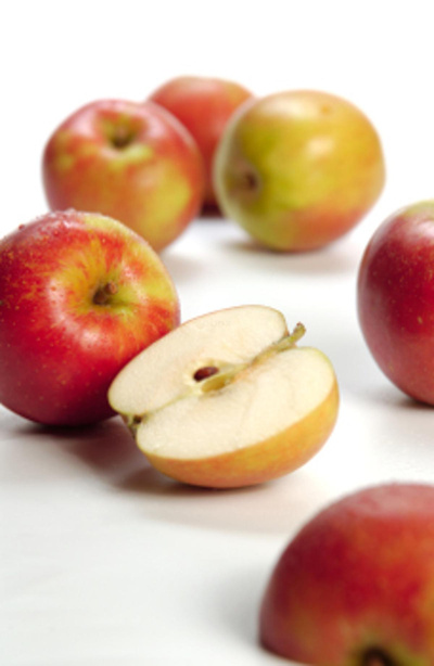 Produktfoto zu Apfel Delbarestivale